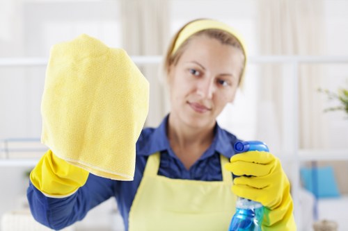 Professional sofa cleaning service for homes in Hounslow