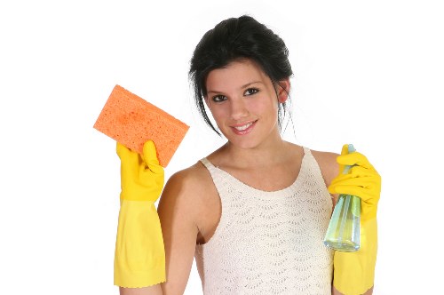 Cleaner preparing a service appointment indoors