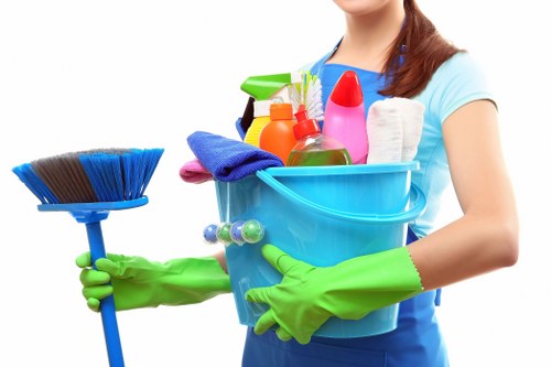 Regular domestic cleaning for a family house in Hounslow