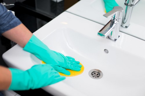 Professional oven cleaning service in Hounslow for a deep-cleaned kitchen appliance